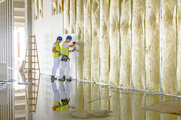 Best Insulation Installation Services in Anna, TX